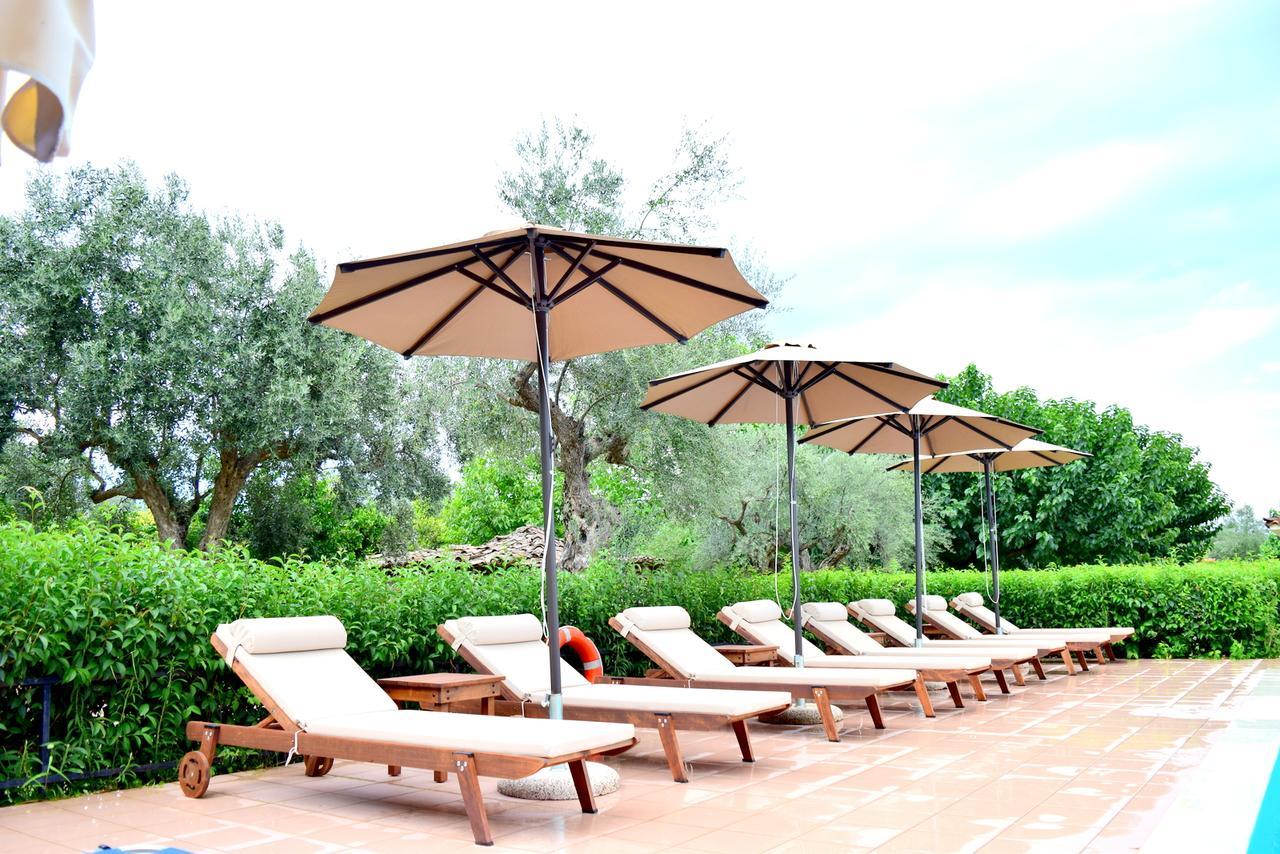Camping & Bungalows Castle View Mystras Eksteriør billede